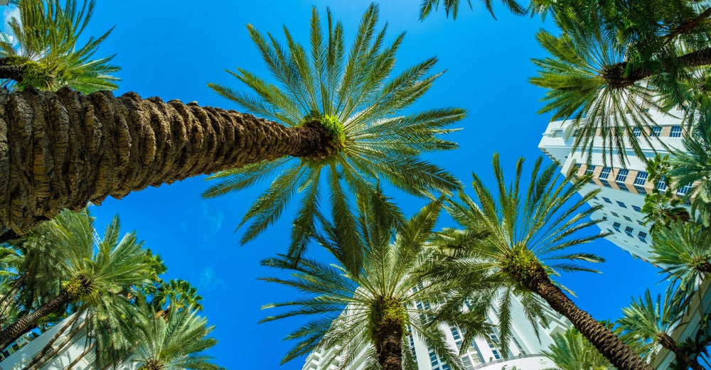 Why Do Hotels Smell So Good